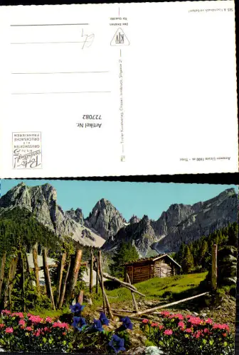 727082 Axamer Lizum Tirol Alpenflora Enzian Berghütte