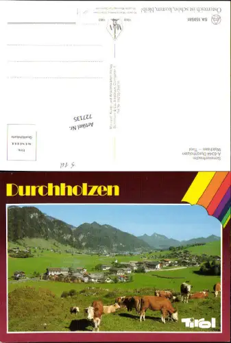 727135 Durchholzen Walchsee Sommerfrische Rinder Kühe Bez. Kufstein