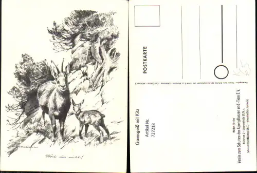 727218 Künstler AK M. Kiefer Gamsgeiß mit Kitz Tiere Verein zum Schutz d. Alpenpflanzen u. Tiere