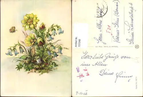 727240 Künstler AK S. N. Blumen Vegetation Glockenblume Schmetterling