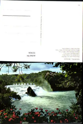 727416 Rheinfall Neuhausen am Rheinfall mit Schloss Laufen Wasserfall