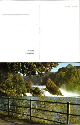 727429 Rheinfall Neuhausen am Rheinfall Wasserfall mit Schloss Laufen Geländer i. Vordergrund