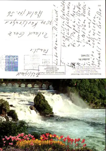 727441 Gruss v. Rheinfall Neuhausen am Rheinfall Wasserfall Tulpen Blumen i. Vordergrund