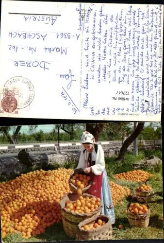 727647 Costumi Siciliani Sizilien Frau Tracht Volkstypen Orangenernte