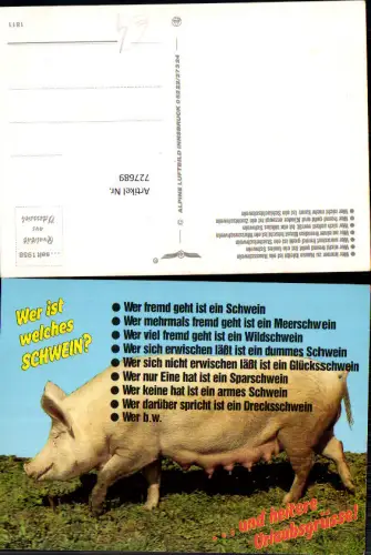 727689 Wer ist welches Schwein Tiere Heitere Urlaubsgrüsse Humor