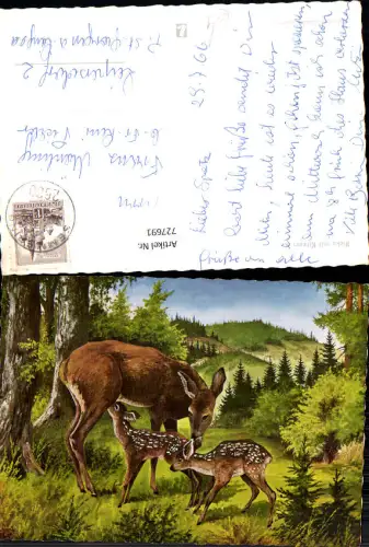 727691 Künstler AK Ricke mit Kitzen Rehe Wild Tiere Jagd
