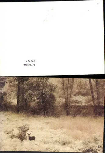 727777 Künstler AK Reh Wild Jagd Landschaft Tiere