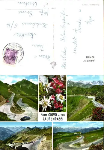 727801 Mehrbild AK Passo Giovo Jaufenpass Sterzing St. Leonhard in Passeier Alpenflora Italy