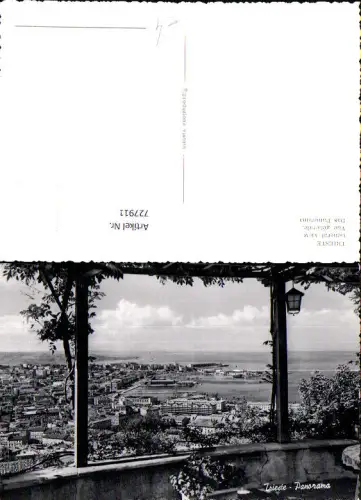 727911 Foto AK Trieste Panorama Triest Italy