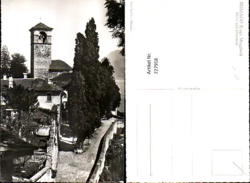 727958 Foto AK Brissago Lago Maggiore Kirche u. Cypressen Italy