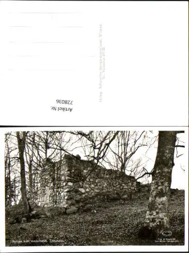 728036 Foto AK Ruinen fran medeltiden Toftaholm Sweden