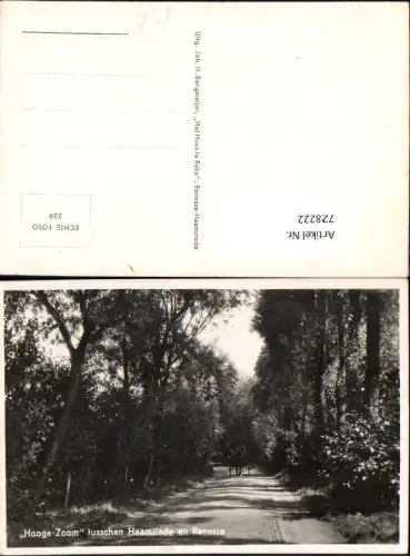 728222 Foto AK Hooge Zoom tusschen Haamstede en Renesse Kutsche Straße Wald Nederlands