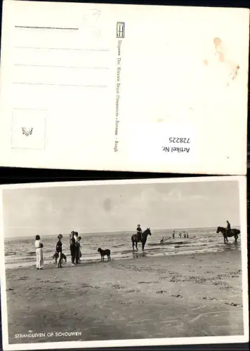 728225 Foto AK Strandleven op Schouwen Strandleben Pferde Hunde Bademode Nederlands