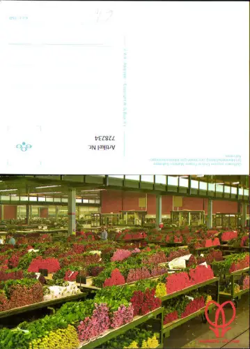 728234 Aalsmeer Blumenmarkt Snijbloemenafdeling der Verenigde Bloemenveilingen Nederlands