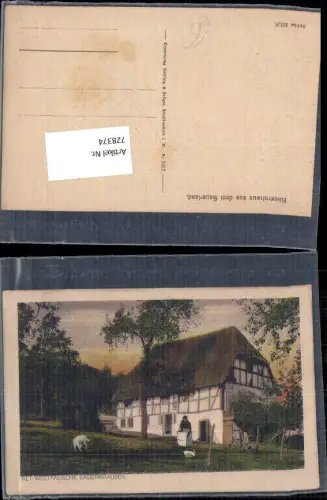 728374 Künstler AK Alt Westfälische Bauernhäuser Schalkmühle Sauerland