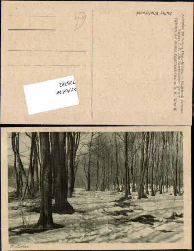 728382 Künstler AK F. Holzer Bäume Wald Schnee Winter Winterwald