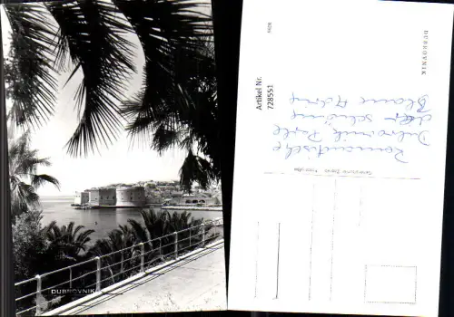 728551 Foto AK Dubrovnik Küste Palme Croatia