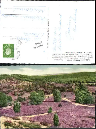 729090 Lüneburger Heide Totengrund
