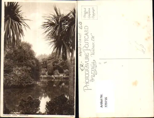 729716 Paignton Victoria Park Palmen Great Britain