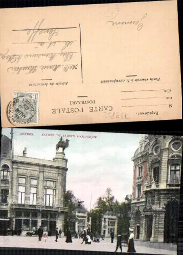 729822 Anvers Antwerpen Belgium Jardin du Zoologique Zoo Tierpark gel Seneffe