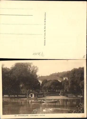 730100 Elsass Strassburg Strasbourg Orangerie Schwan Schwäne