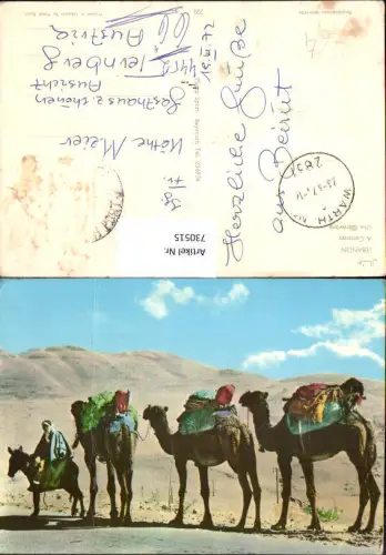 730515 Lebanon A Caravan Une Caravane Kamele Volkstypen Libanon
