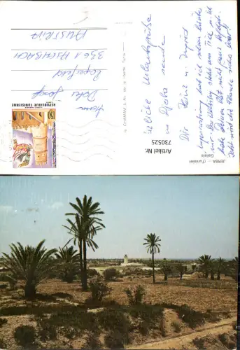 730525 Jerba Gallala Palmen Landschaft Tunisie Tunisia