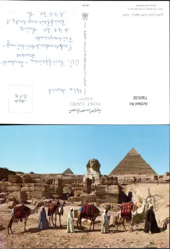 730532 Giza The Sphinx and the Pyramids of Cheops and Chephren Volkstypen Kamele Ägypten Egypt