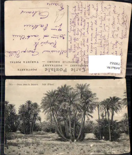 730552 Oasis dans le Desert Wüste Palmen Volkstypen Algerien Algeria