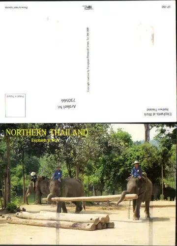 730566 Elephants at Work Northern Thailand Elefanten b. Holzarbeiten