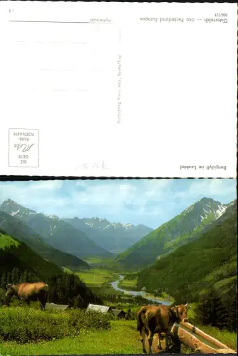 730765 Idyll im Lechtal Reutte Bach Kuh Tränke
