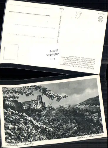 730873 Frühling in Heidelberg Blick v. d. Scheffelterrasse Schloss Blütenzweig