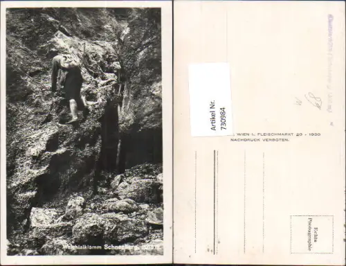 730984 Weichtalklamm Schneeberg Reichenau an der Rax Weichtal