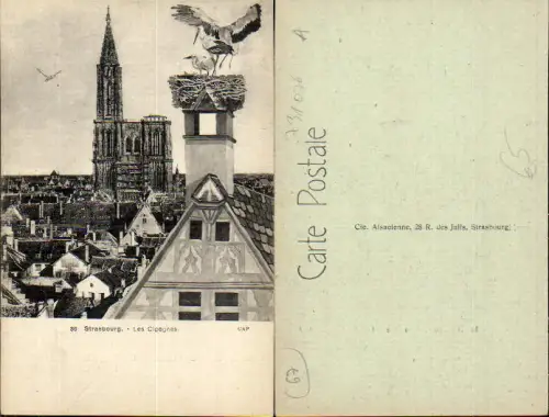 731076 Strassburg Strasbourg Elsass Storch Cigognes
