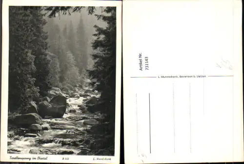 731143 Forellensprung im Okertal Landschaft pub L Mundschenk Bevensen b. Uelzen