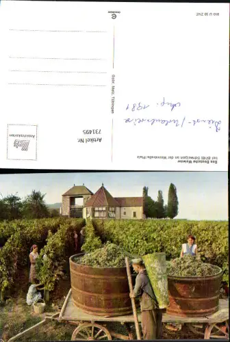 731495 Schweigen a. d. Weinstraße Pfalz Das Deutsche Weintor Wein Weinernte