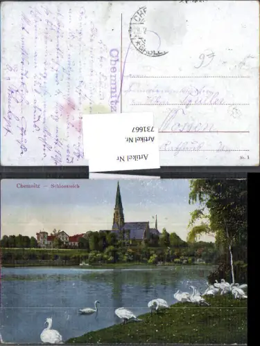 731667 Chemnitz Schlossteich Schwan Schwäne am Ufer
