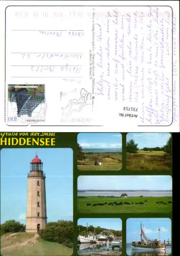 731753 Mehrbild AK Insel Hiddensee Leuchtturm Rinder Kühe Schiff Hafen