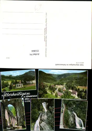 731866 Mehrbild AK Allerheiligen im Schwarzwald Wasserfall Ruine