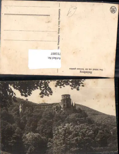 731897 Heidelberg Das Schloss von der Terrasse gesehen