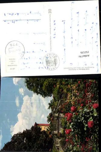 732126 Insel Mainau Rosengarten Palmenhain Mainau LK Konstanz