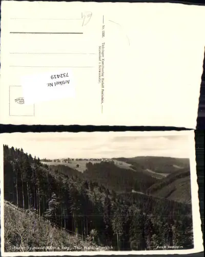 732419 Foto AK Sitzendorf Frauenwald Thüringer Wald Silberblick Bez. Saale-Holzland-Kreis
