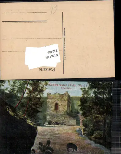 732468 Schwarzatal Postkarte Eberstein LK Saalfeld-Rudolstadt Thüringer Wald