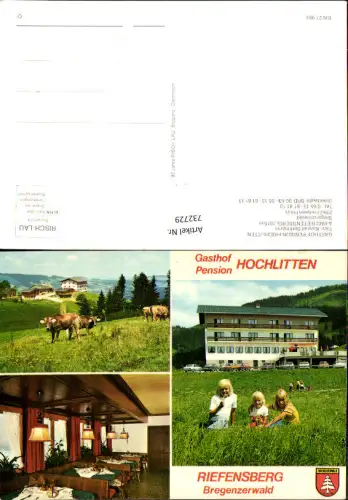 732729 Mehrbild AK Riefensberg Bregenzerwald Gasthof Pension Hochlitten