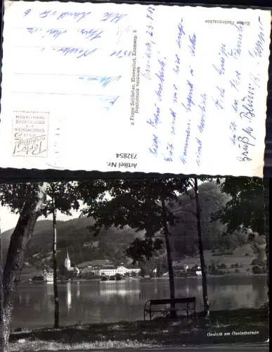 732854 Foto AK Ossiach am Ossiachersee Sitzbank u. Bäume im Vordergrund