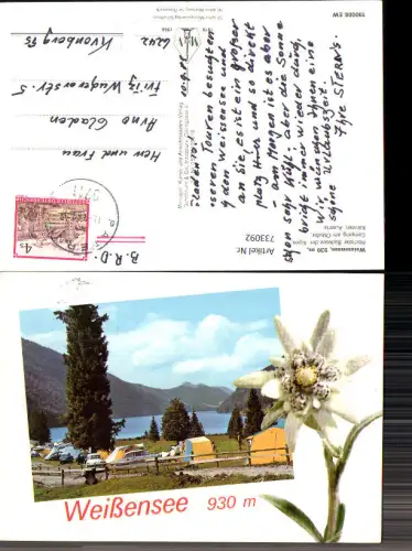 733092 Präge AK Weißensee Gemeinde Weißensee Camping am Ostufer Zelten Campen Edelweiß Edelweißblüte