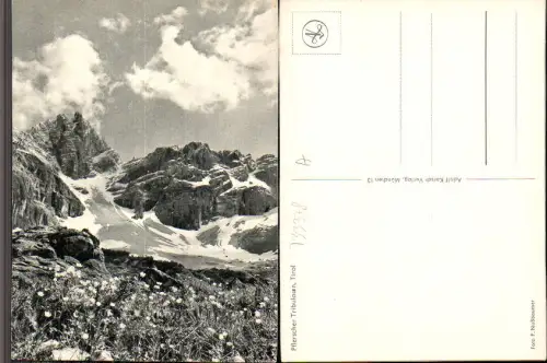 733378 Pflerscher Tribulaun Pflersch Trentino Brenner Südtirol
