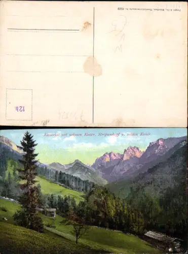 733524 Kaisertal bei Ebbs Kufstein Zahmen Kaiser Stripsenkopf pub Purger e Co. 8529