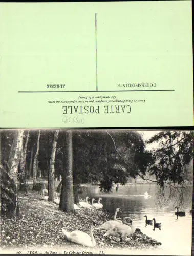733592 France Lyon Coin des Cygnes Schwäne Schwan Parc pub LL 166