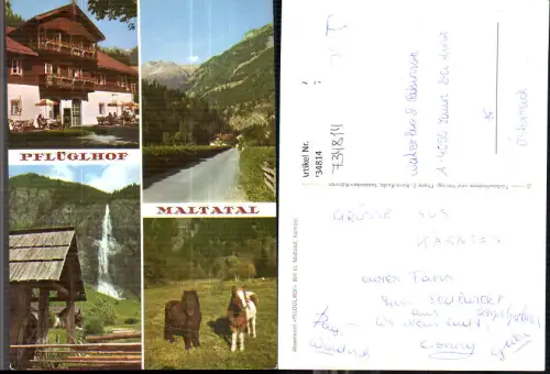 734814 Mehrbild AK Maltatal Malta in Kärnten Alpenhotel Pflüglhof